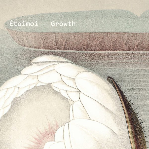 Étoimoi — Growth